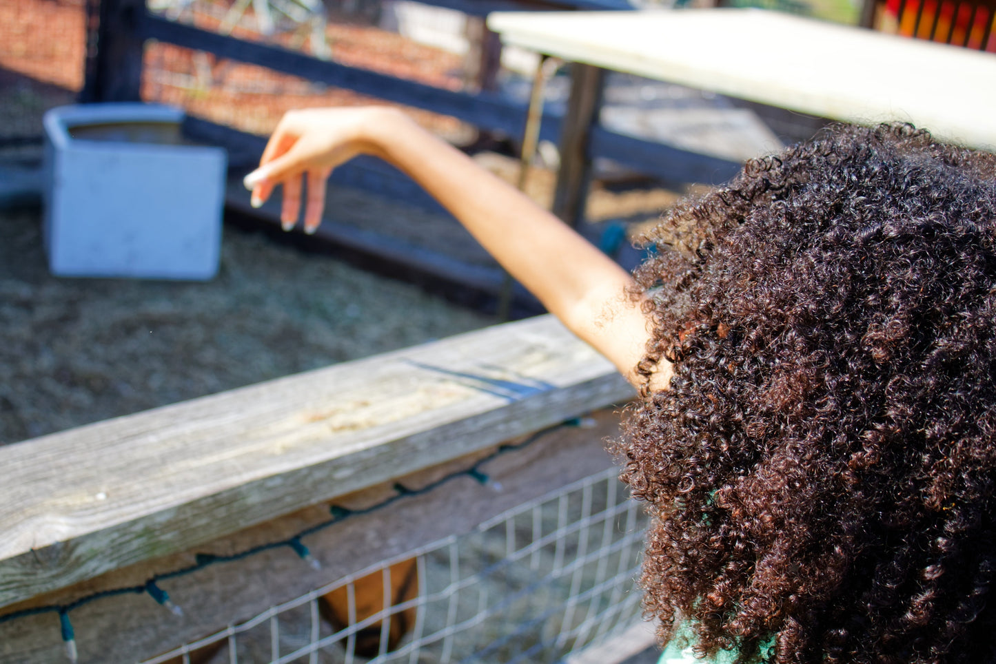 Curl Enhancing Conditioner
