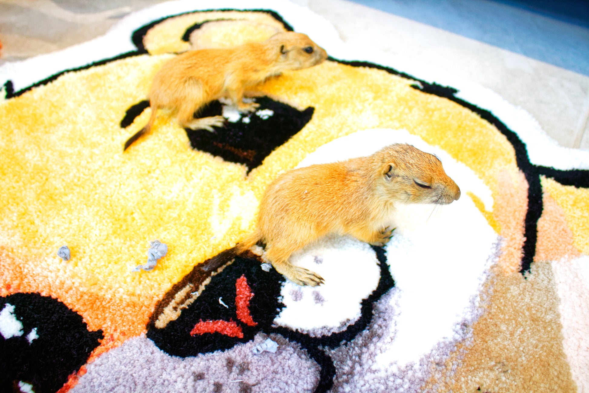 Hand Tufted Prairie Dog Rug 